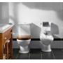 Унитаз напольный Villeroy&Boch Hommage Plus 6662 10R2. Фото