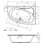 Ванна акриловая RIHO Lyra 170х110 BA64005/BA63005. Фото