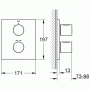 Смеситель термостатический для душа GROHE Grohtherm 3000 Cosmopolitan 19568LS0 (внешняя часть). Фото